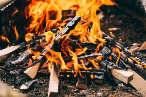 Soft Wood Kindling